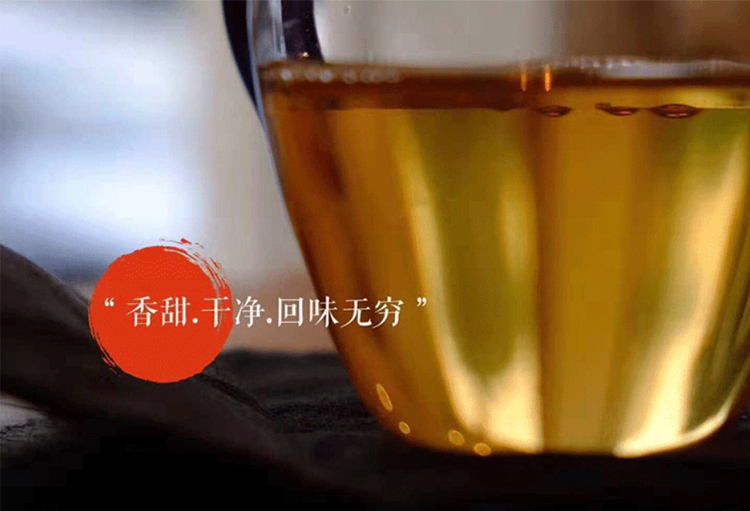 用冷泡茶单挑夏天!