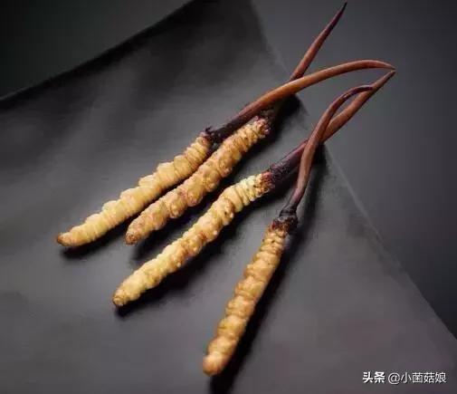 菌菇水护肤,菌菇水好评