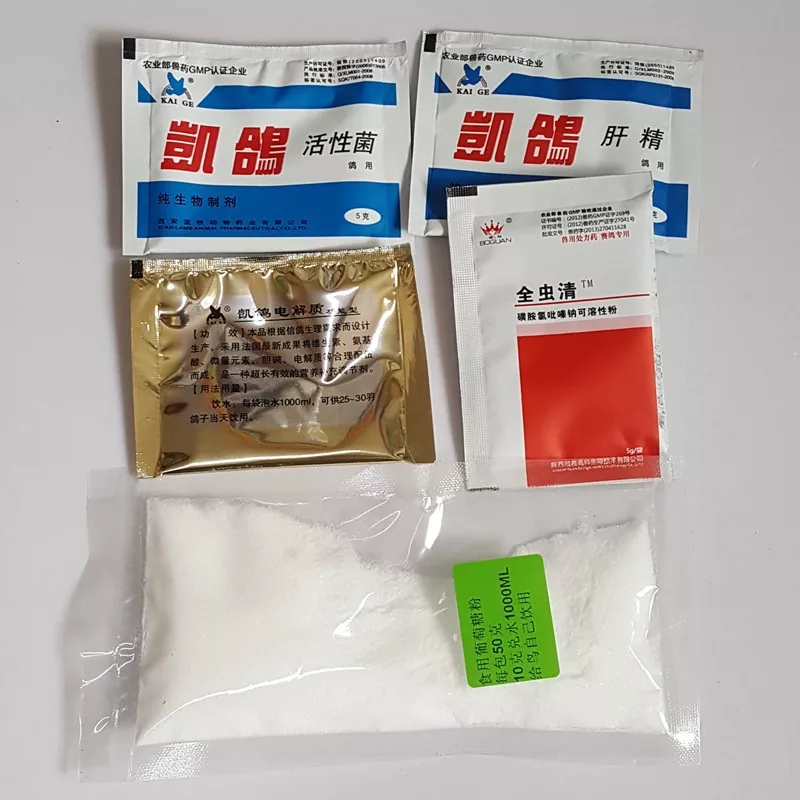 你家鹦鹉吃猫粮吗,家养鹦鹉喂小米