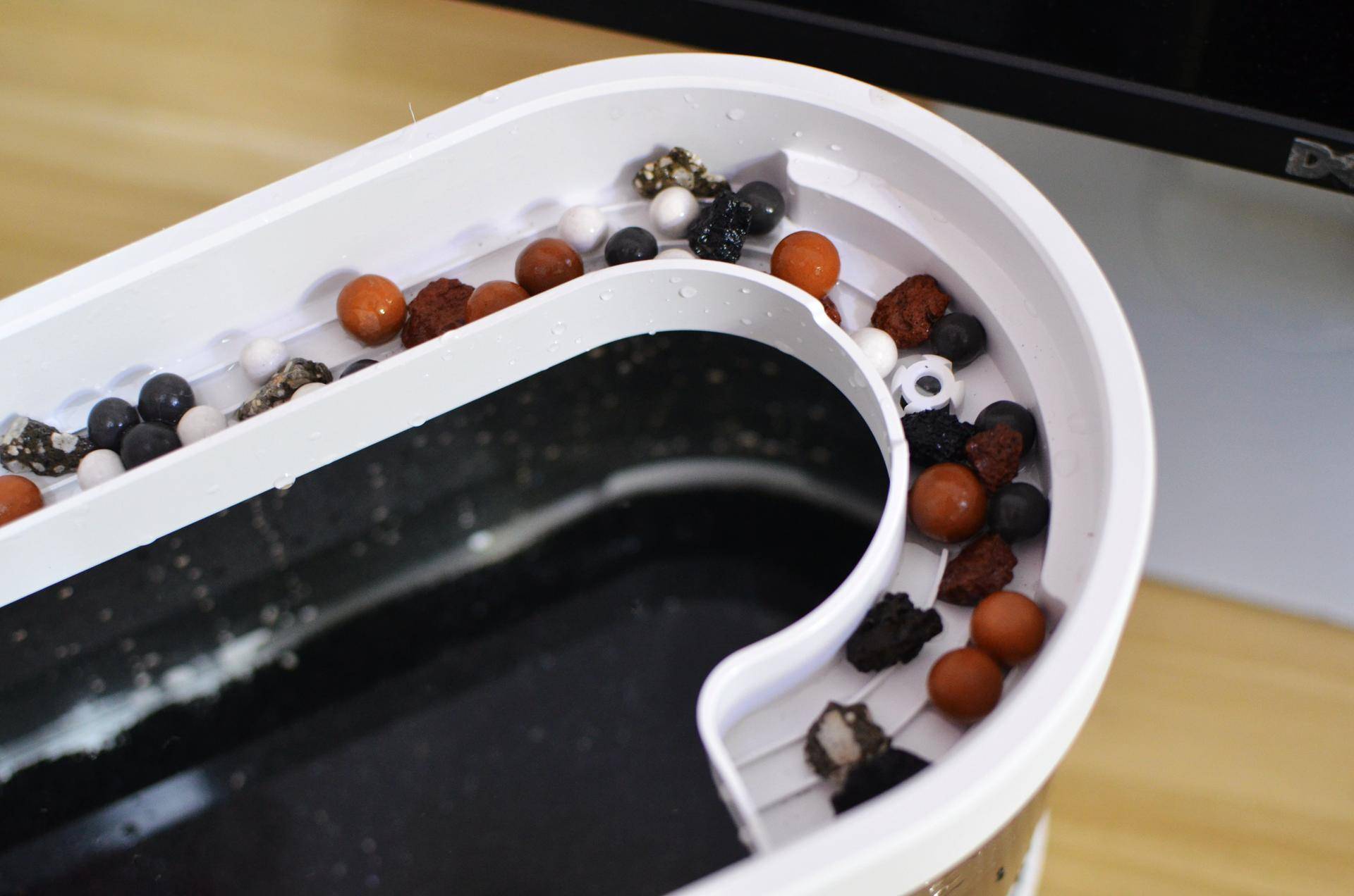 小米生态鱼缸养巴卡雷龙,小米生态缸养鱼入门基础教程