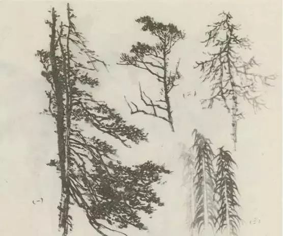 怎样画树画得好看,怎么画树最简单而且还最好看