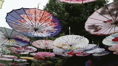 「欧蓓莎跨年巨献」醉美油纸伞、马戏团表演、环球美食节应有尽有