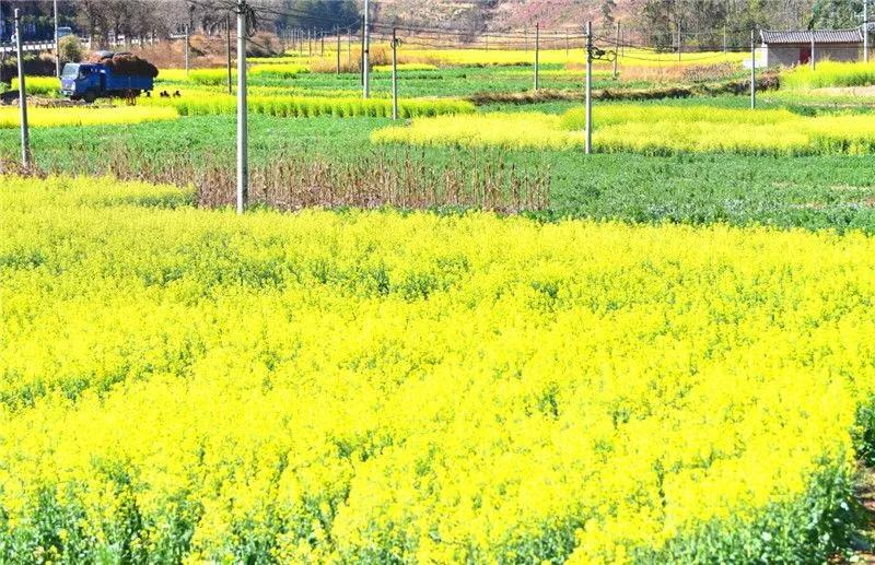 瞧!这花花世界谁不爱
