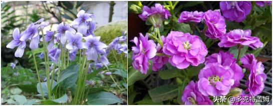 日向千寻无法继续工作结局,日向千寻的工作总是做不久下线