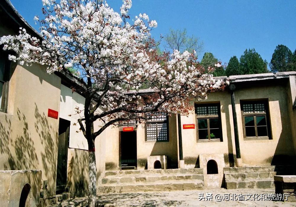 红色河北|*共中**中央移驻西柏坡，你可能不知道的几个小故事