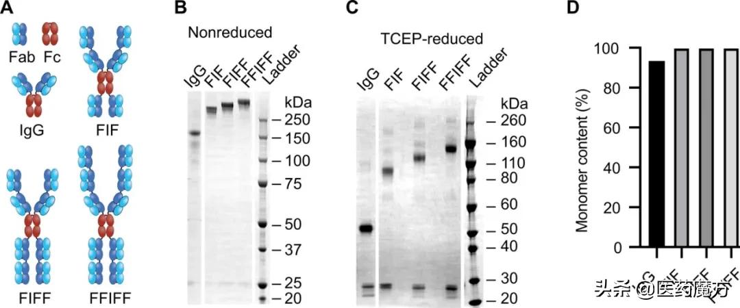 抗精子抗体避孕,避孕了抗精子抗体越来越高