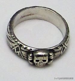 武装*党**卫军：保卫希特勒元首碉堡并坚持到最后的居然是法国人？