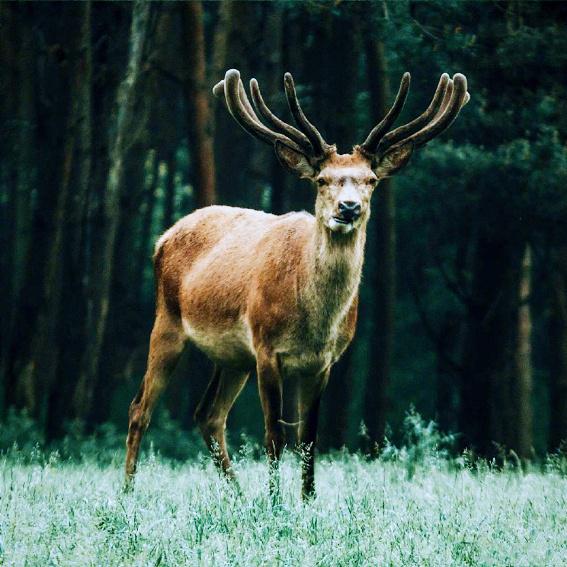 男人感悟人生经典说说,人生不过三杯酒的感慨说说