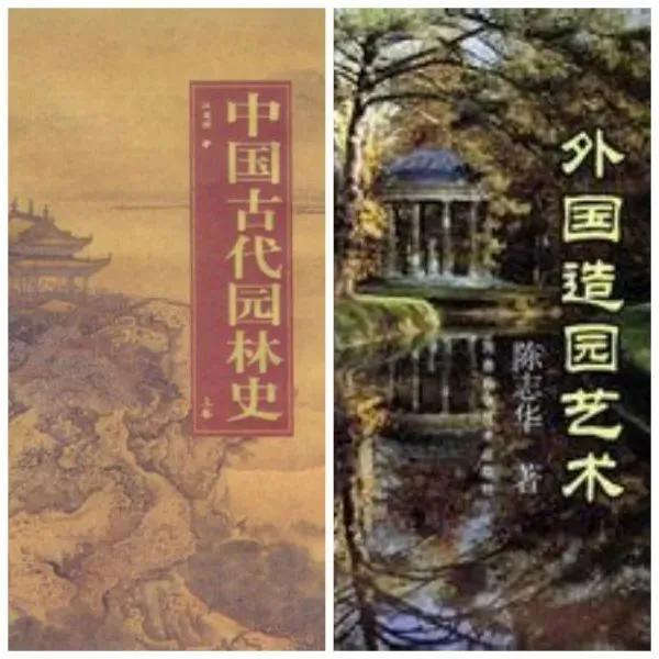 笑谈种树的艺术——看园林专业的魅力