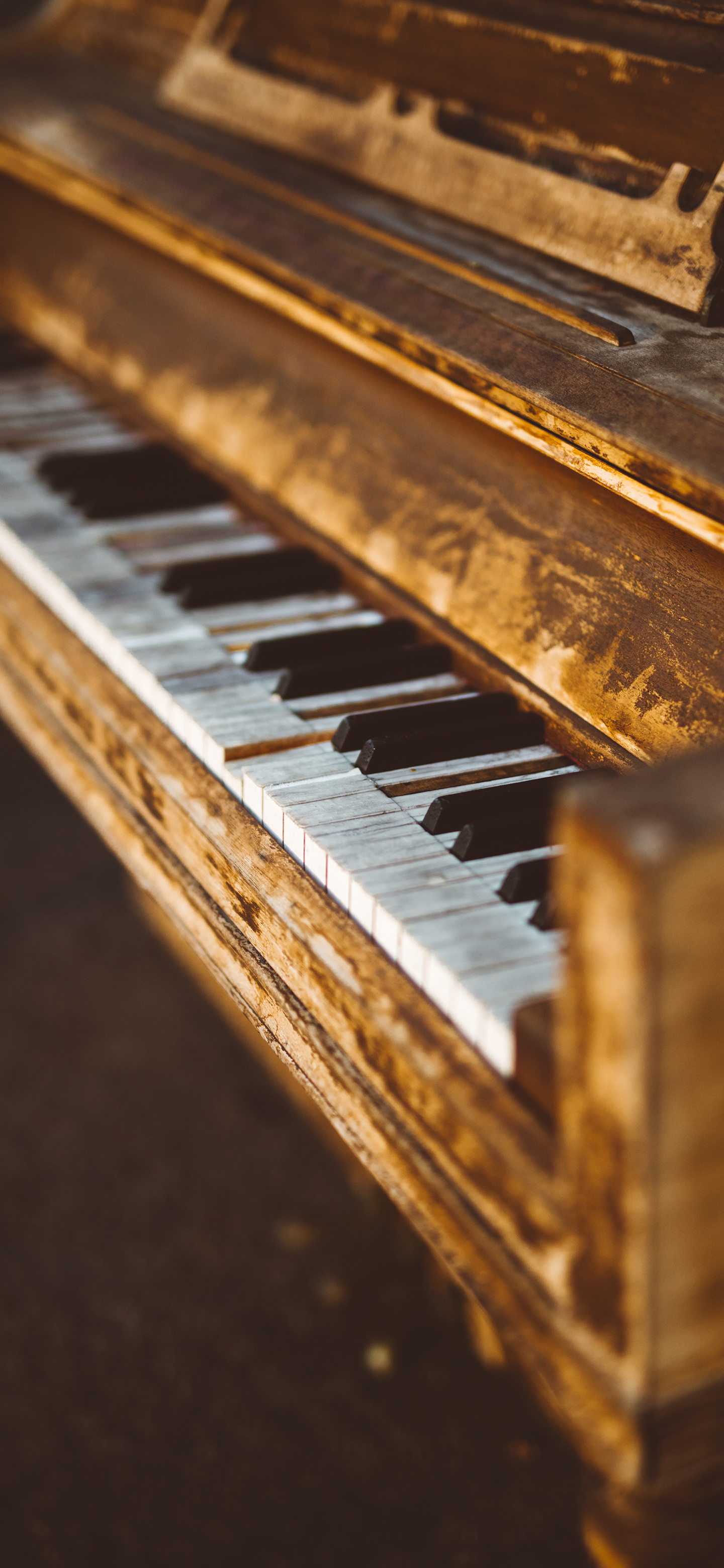 壁纸来了分享图,壁纸来了梵高