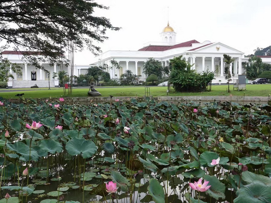 爪哇岛是全国人口最稀疏的地区吗,爪哇岛人口多的地方