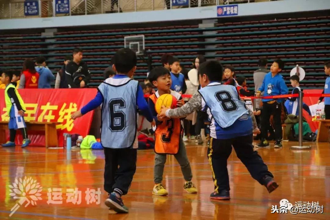 中国篮球名宿走进学校,中国篮球名宿26分