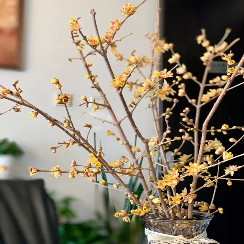 过年家里必摆的九道菜,过年家里摆的喜庆的物件