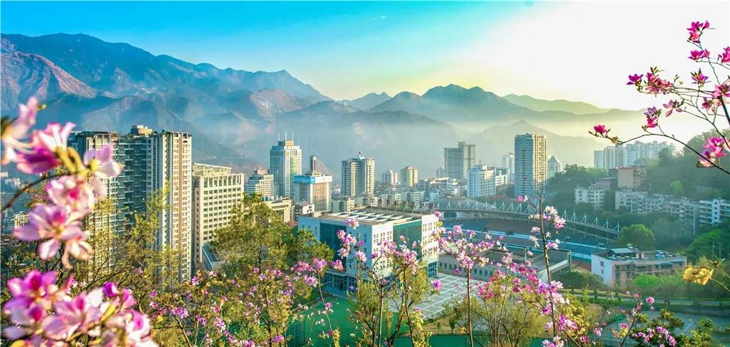 收藏！吐血整理《2019攀枝花大全》，看完秒变“地道”攀枝花人~