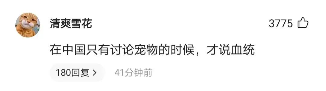 声称印度贵族有魅力，很多中国女孩恨不得嫁给他们？哪来的自信？