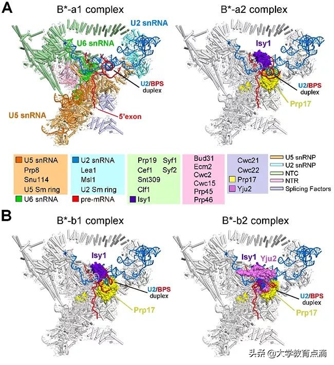 清华大学科技成果转化,清华大学重大贡献科研成果