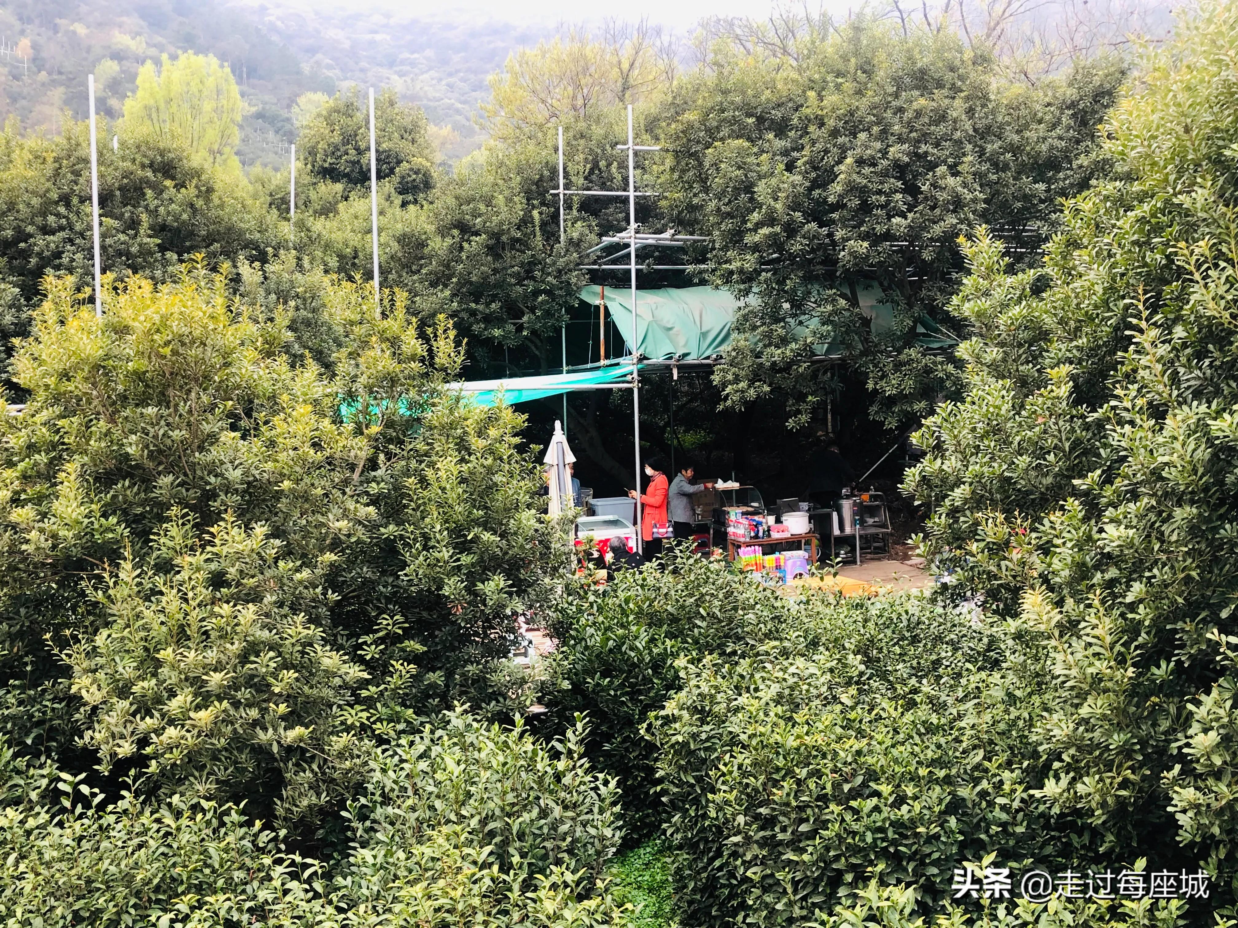 苏州小众却很棒的原生态的古镇,苏州必去的古村