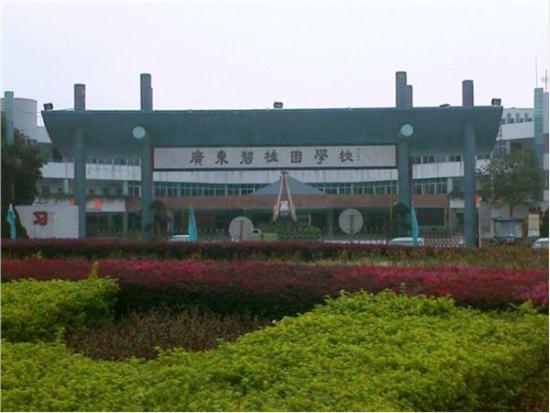 佛山学校罚跪,佛山十大贵族私立中学