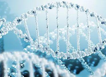 郭鸿财护肤品加工：各大网红明星都在用的*干粉冻**有什么神奇之处？