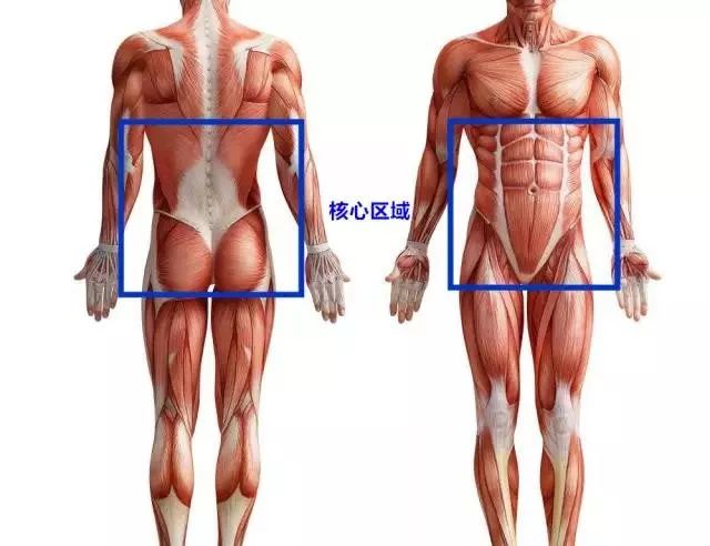 瑜伽呼吸核心一直是收紧的吗,瑜伽背后的感悟