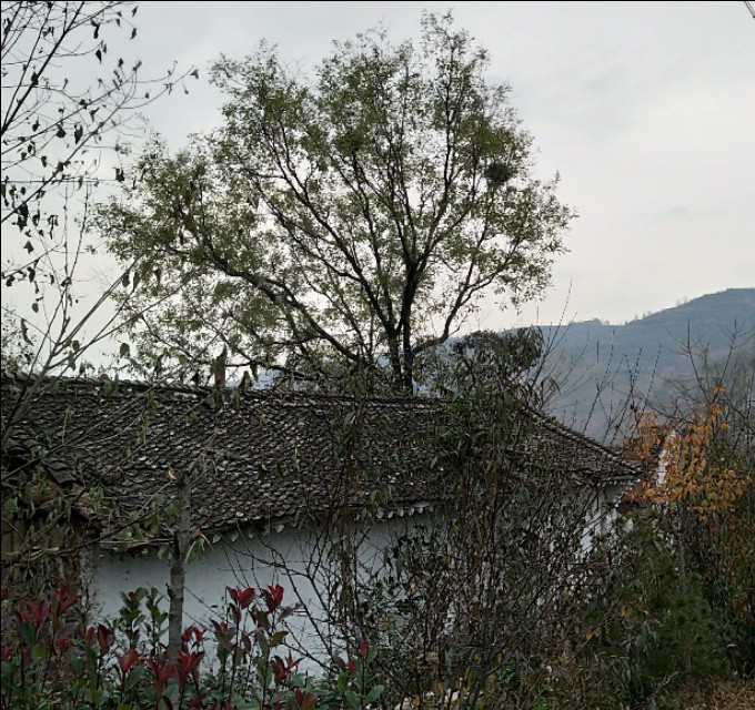 远去的炊烟文章,远去的儿时炊烟