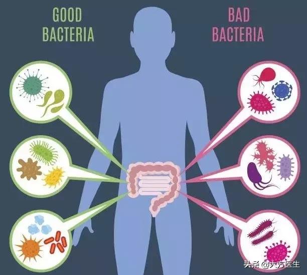 细菌是人类的天敌吗,身体有益的细菌和有害的细菌