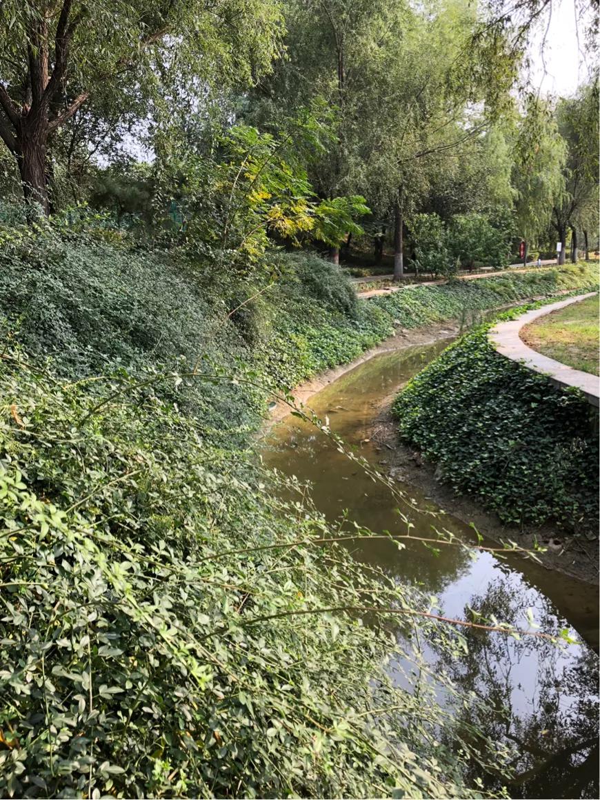 郑州市莲花公园,郑州池南路莲花公园