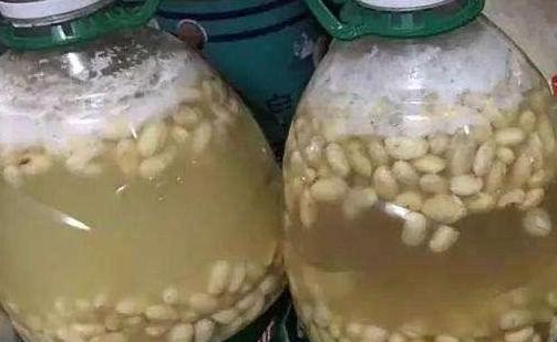 养花小妙招厨房垃圾变肥料,家里变废为宝的养花肥料