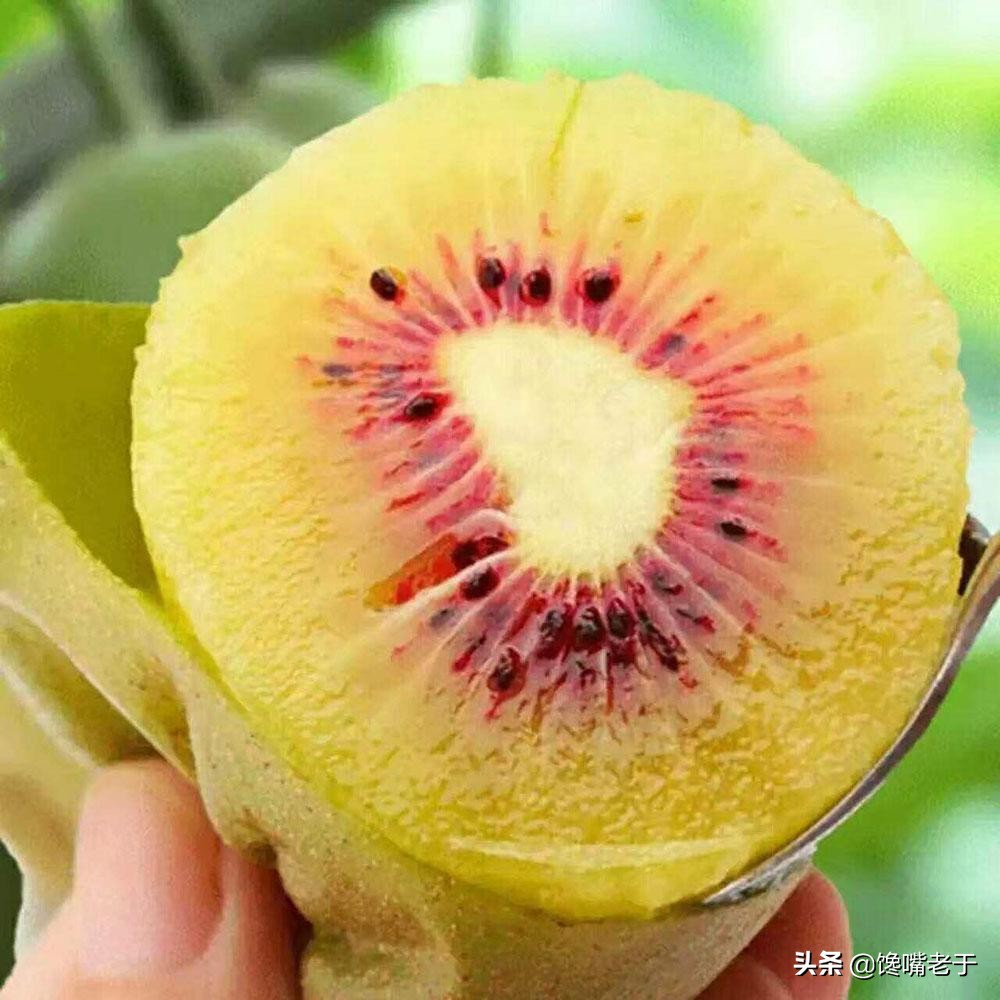 小暑水果,小暑吃什么水果