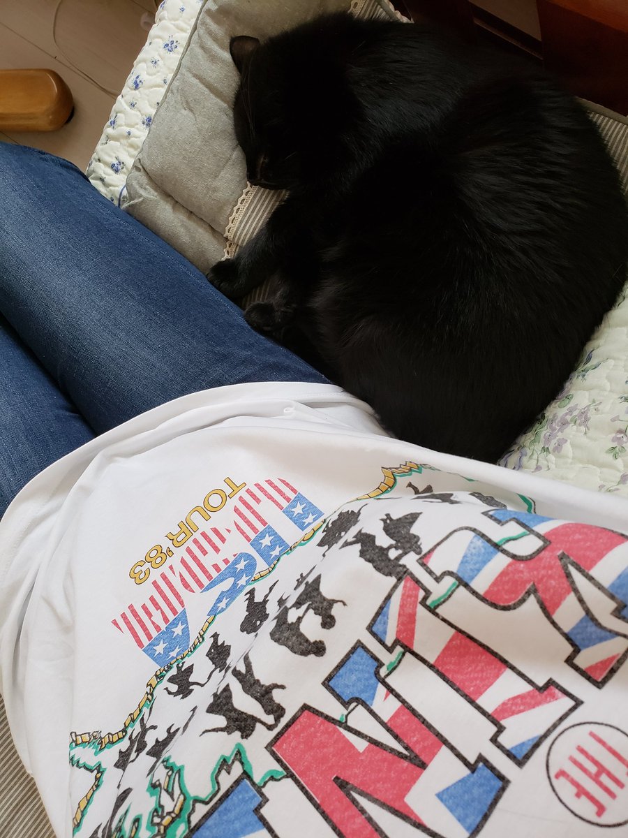 日本网友发现猫咪最爱,GU和优衣库的牛仔裤,穿上就能让它爱上你