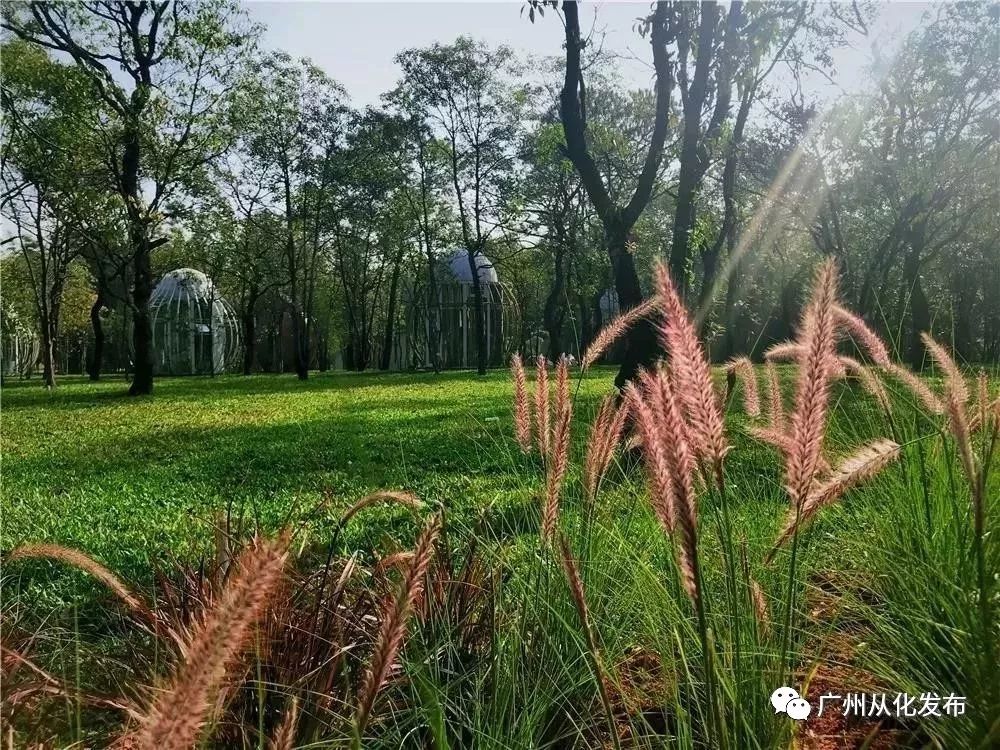 这个暑假去哪个地方玩不热,这个季节去从化有什么好玩的