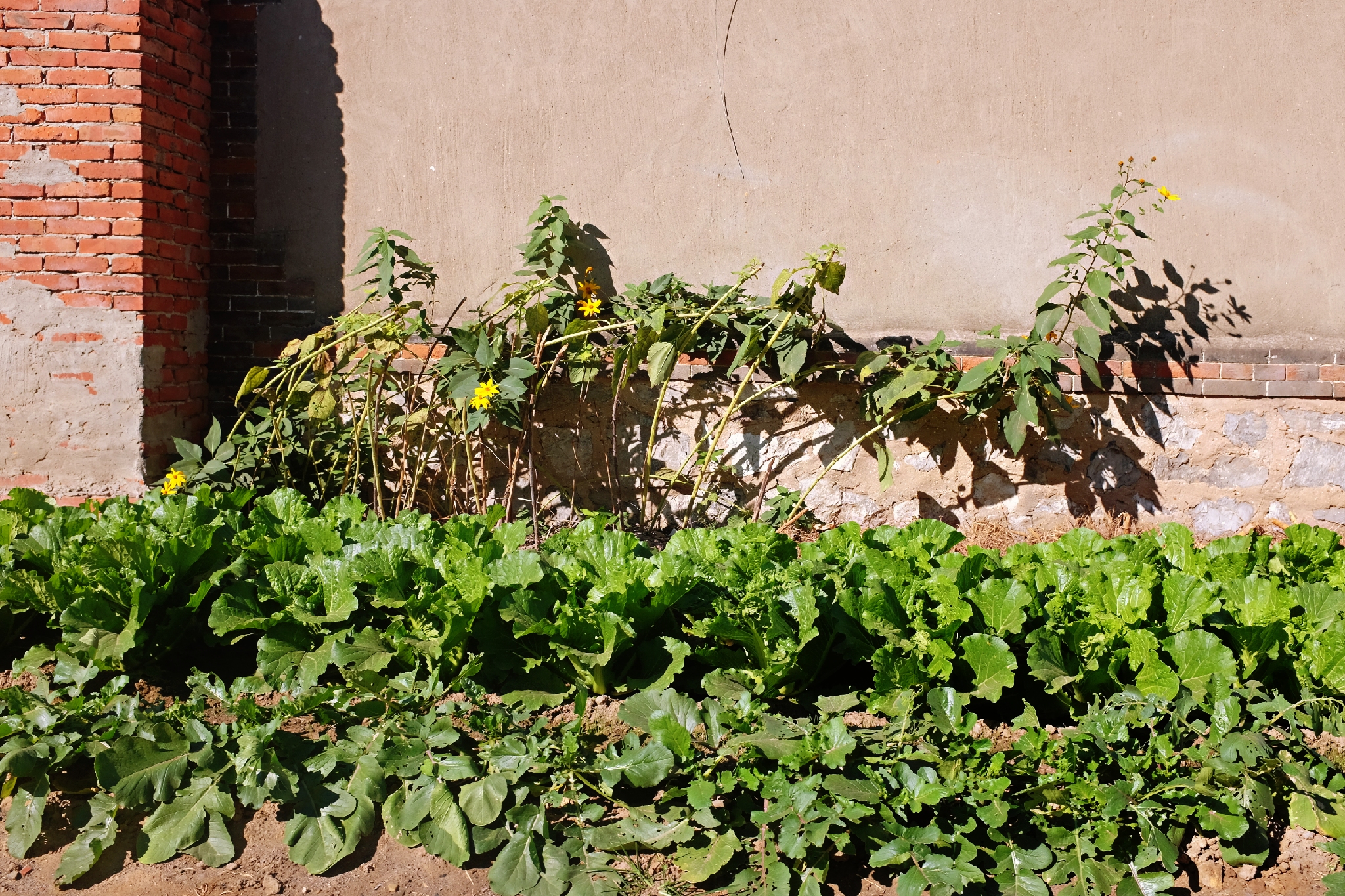 玉田净觉寺景点,唐山净觉寺三大奇观
