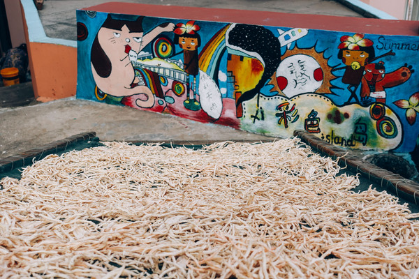 浙江最值得去的渔村温岭,温岭小众渔村