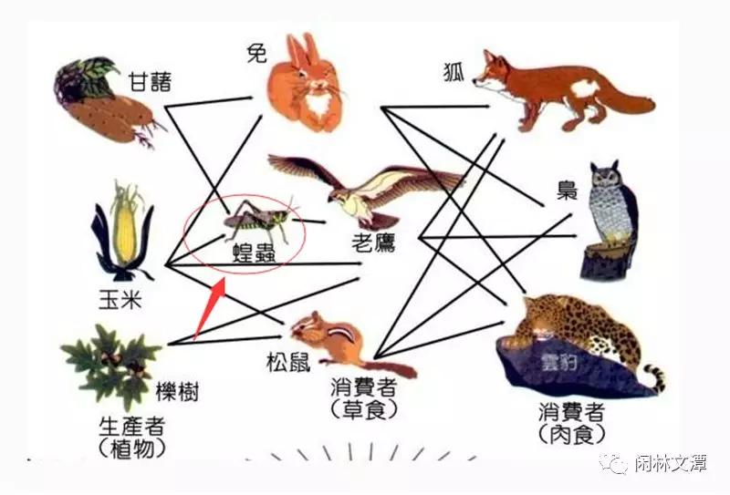 <html>
<head><title>502BadGateway</title></head>
<body>
<center><h1>502BadGateway</h1></center>
<hr><center>nginx</center>
</body>
</html>
<!--apaddingtodisableMSIEandChromefriendlyerrorpage-->
<!--apaddingtodisableMSIEandChromefriendlyerrorpage-->
<!--apaddingtodisableMSIEandChromefriendlyerrorpage-->
<!--apaddingtodisableMSIEandChromefriendlyerrorpage-->
<!--apaddingtodisableMSIEandChromefriendlyerrorpage-->
<!--apaddingtodisableMSIEandChromefriendlyerrorpage-->
