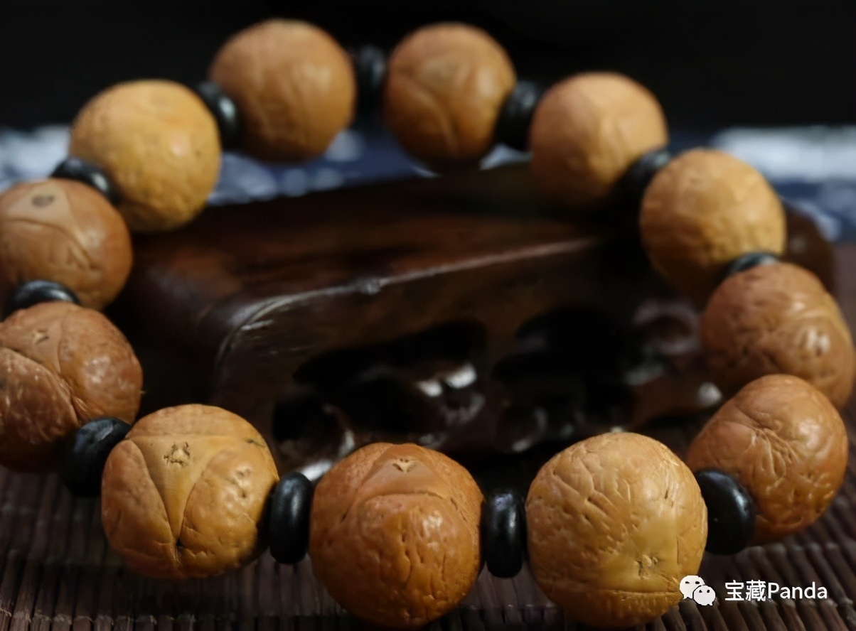 龙眼凸眼菩提,苍龙眼龙眼菩提