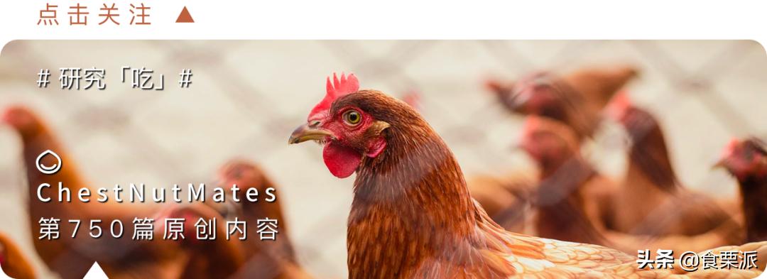 鸡身上的肉哪个地方最好吃,鸡小胸是鸡身上哪块肉