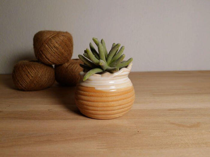 三种药片过期了可以放花盆里,过期的药片对花有效吗