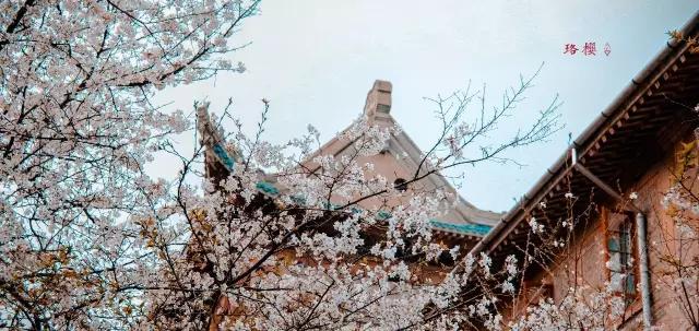 武汉封城第14天，有多少人忘了她到底有多美？