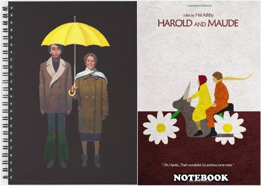 一个20岁小伙子的故事,一个20出头的男孩爱上一个女孩