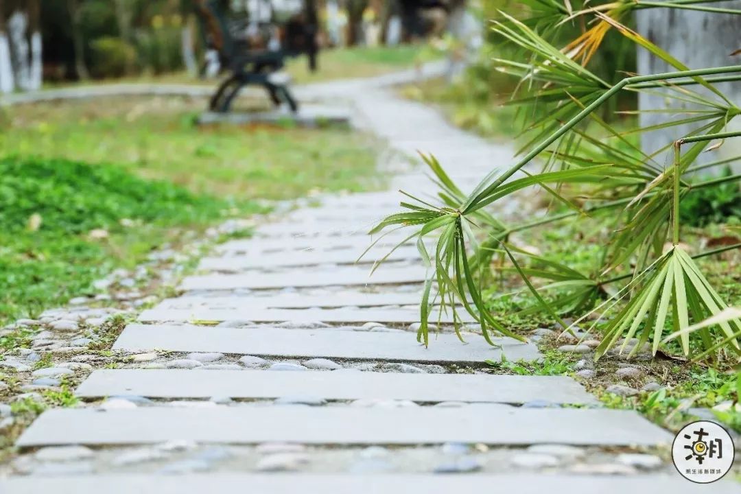 閿﹀煄鐨囧璐垫棌瀛﹂櫌,鎴愰兘閿﹀煄璐垫棌瀛﹂櫌