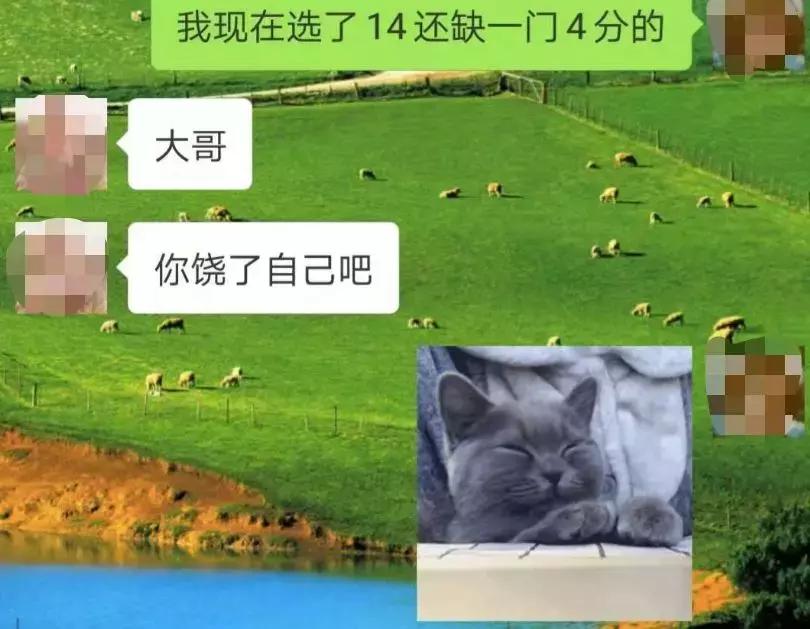 “冒牌”的留学生,识货的HR