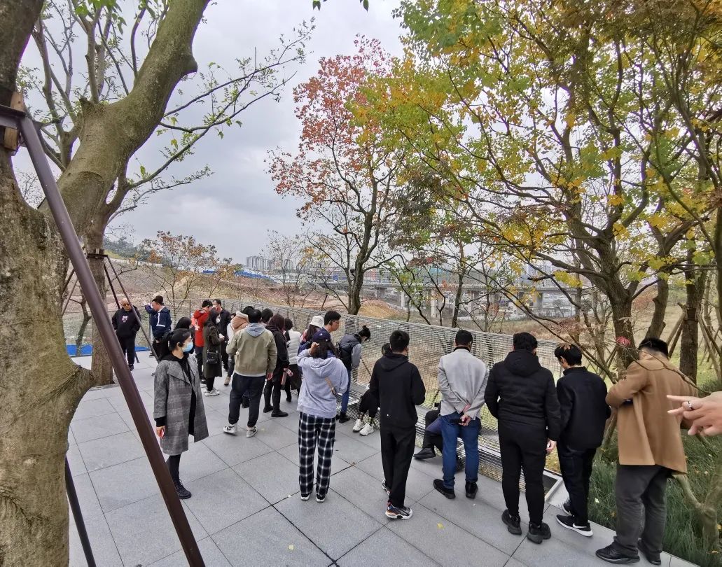 易境研学·重庆站|第二期