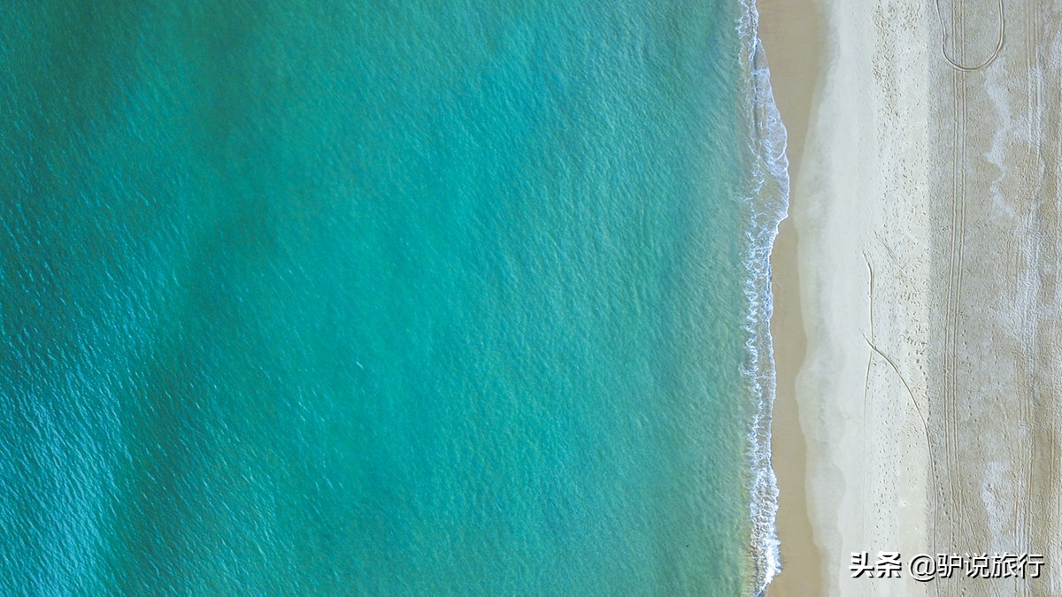 撮一顿海鲜自助,搓一顿火锅大排档套餐