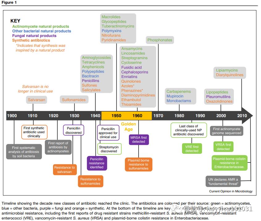 抗生素在中国大规模使用时间,抗生素未来会消失吗