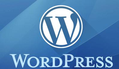 *魔色**张大妈上市后的优异表现说明，技术可能并不是核心竞争力