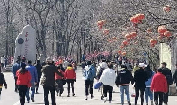 清明旅游市场有哪些特点,清明小长假文旅市场强劲复苏