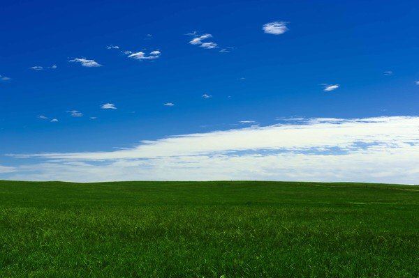 用人之道谋略之道,用人之道简短的句子