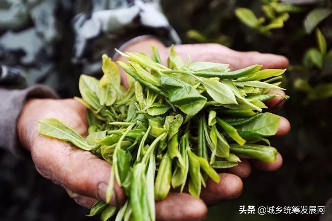 鐧句簨鍙箰璺ㄧ晫鍚堜綔,鐧句簨鍙箰甯傚満鎬荤洃