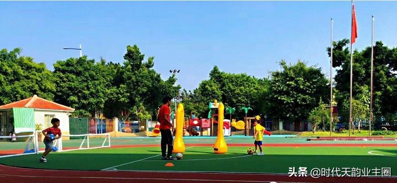 知识城幼儿园,知识城学校