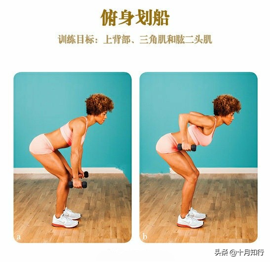 哑铃紧致训练动作图片,初学者哑铃经典8个动作女性